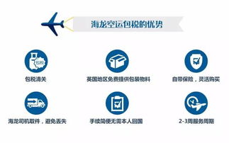 回國(guó)行李太多？高效省錢貨物代理服務(wù)指南