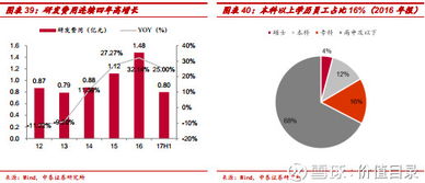 價值目錄 光伏封裝材料龍頭福斯特，二十三載專注成就行業標桿