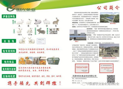 第七屆2017中國兔業發展大會 行業精英齊聚，技術與服務共繪產業藍圖