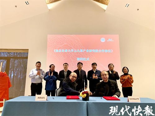 茶葉也能做親子鑒定？南農大突破性技術即將在南京落地推廣