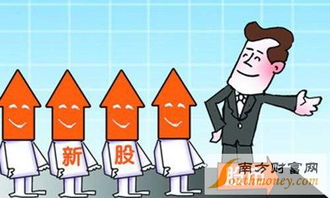 延江股份(300658)中簽率查詢、中簽號公布時間及技術服務解析